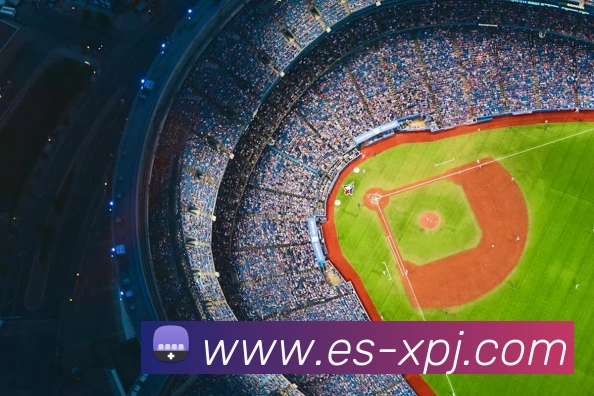 新葡京娱乐平台生态图