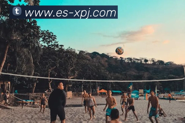 新葡京娱乐APP 封面图